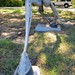 Ronald Godwin Photo 10