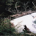 Cory Cross Photo 26