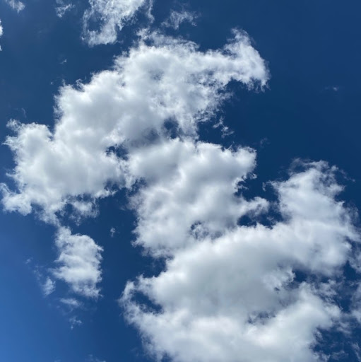 Paula Frank Photo 39