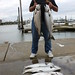 Billy Mcgee Photo 46