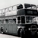 William Rees Photo 37