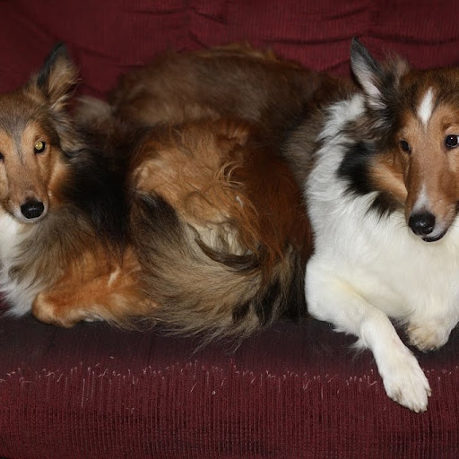 Steve Pilcher Photo 6