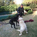 Jacqueline Mcgee Photo 19