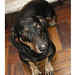 Judy Amado Photo 16