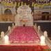Muhammad Syed Photo 38