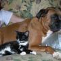 Darlene Hughes Photo 43