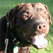 Floyd Hamilton Photo 22