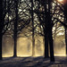Misty High Photo 2