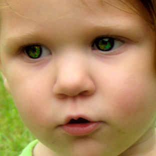 Laurie Stepp Photo 3