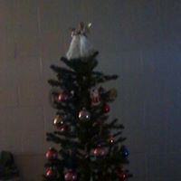 Deborah Blevins Photo 7