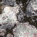 April Whipple Photo 11