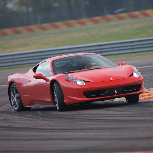 Tom Nicholson Photo 22