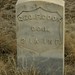 George Cook Photo 46