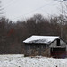 Virginia Pullen Photo 10