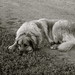 Mary Hamrick Photo 20