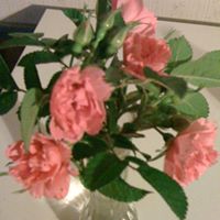 Ann Simms Photo 25