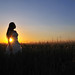 Joyce Wheat Photo 9