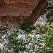 William Snow Photo 26
