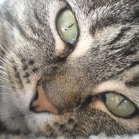 Kitty Banks Photo 3