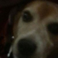 Janie Cross Photo 6