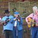 Dorothy Crowe Photo 10