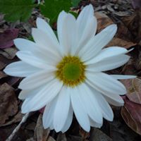 Martha Winters Photo 28