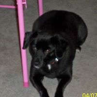 Don Snodgrass Photo 11