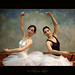 Sara Lopez Photo 10