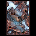 Gerry Winters Photo 7