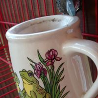 Sarah Goings Photo 3