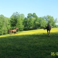 Marcy Cole Photo 13