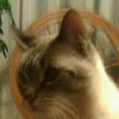 Sharon Tuttle Photo 11
