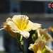 Stephen Hazlett Photo 10