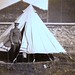 Harold Platt Photo 12