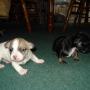 Rhonda Rhoads Photo 18