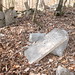 Robert Vance Photo 10