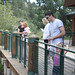 Janet Peck Photo 15