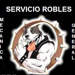 Gerardo Robles Photo 4