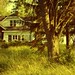 Don Robb Photo 5