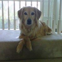 Jennifer Cavanaugh Photo 18
