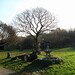 Elizabeth Groen Photo 8