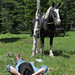 Stacey Sheppard Photo 11