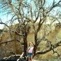 Julia Field Photo 27