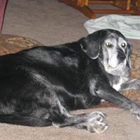 Jill Seely Photo 7
