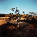 Garry Anderson Photo 41