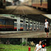 Tam Bui Photo 16