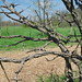 Michael Blackwell Photo 36