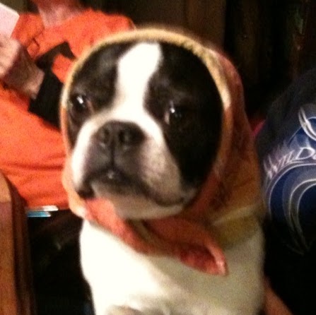 Judy Hendricks Photo 3