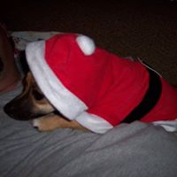 Nancy Coffman Photo 9
