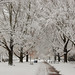 Sarah Ebert Photo 22